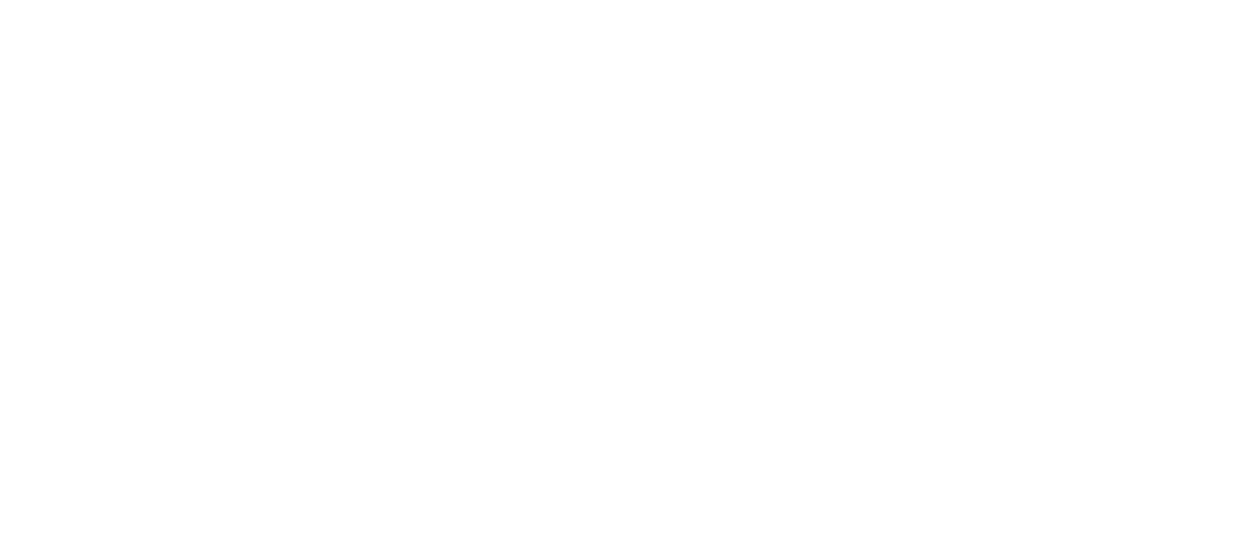 SAPICA - SHOES FROM MEXICO